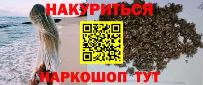 стаф Гудермес