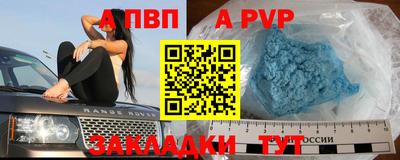 стаф Гудермес