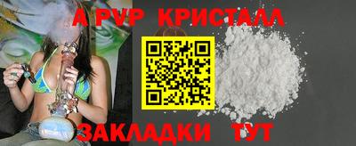 стаф Гудермес