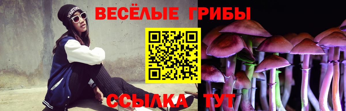 Галлюциногенные грибы GOLDEN TEACHER  Вход с VPN  Галлюциногенные грибы мухоморы  Каменск-Уральский 